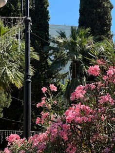 pink flowers are blooming on the side of a street light pole in front of some trees