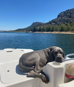 a gray dog laying on top of a boat in the water with mountains in the background