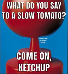 a red object with the words, what do you say to a slow tomato? come on, ketchup