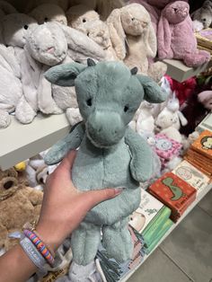 a person holding a small stuffed animal in front of many other stuffed animals on shelves