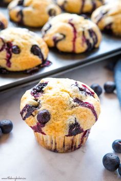 blueberry muffins with fresh blueberries in the background