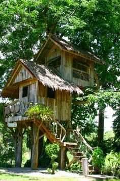 a tree house in the middle of some trees