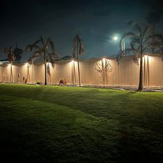 a building with palm trees in front of it and lights on the side of it