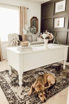 a dog laying on top of a rug in front of a white piano