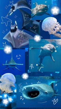 an image of various sea animals in the ocean