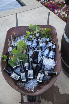 a wheelbarrow filled with beer bottles and plants