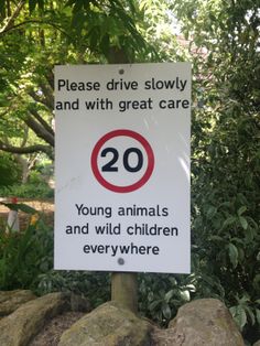 a sign warning people to drive slowly and with great care for young animals, and wild children everywhere