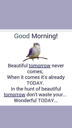 a bird sitting on top of a purple and white sign that says, good morning beautiful tomorrow