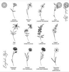 the different types of flowers and their names