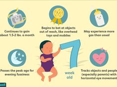 baby's first year info sheet showing the steps to becoming an infant with special needs