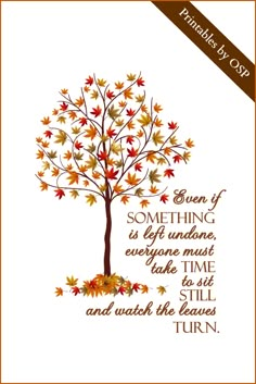 an autumn tree with leaves on it and the words, even if something isn't everyone