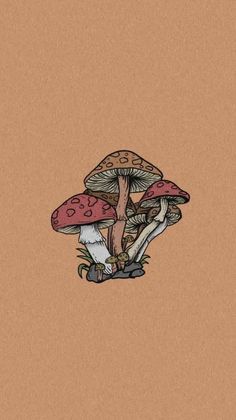 two mushrooms sitting on top of each other