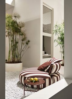 a living room filled with furniture and plants