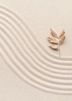 a single leaf is sitting on the sand in front of wavy lines and wave patterns