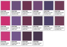 the pantone color chart is shown in purple and magentage, with different shades