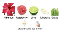 various types of ice creams and flowers with the words hhibuscus raspberry lime tuberose grass