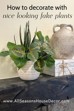 a potted plant sitting on top of a shelf next to a vase and box