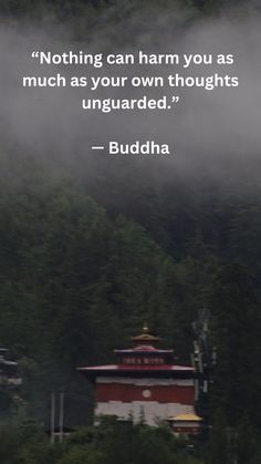 buddha quote on the top of a mountain with fog in the air and trees behind it