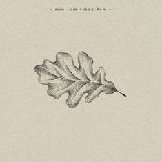 a drawing of a leaf on a piece of paper with the words,'minn xcm max 8mm '