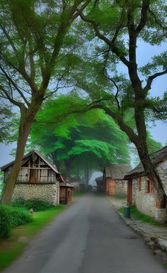 an image of a road that is surrounded by trees and houses with green leaves on them