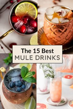 the 15 best mule drinks for any occasion