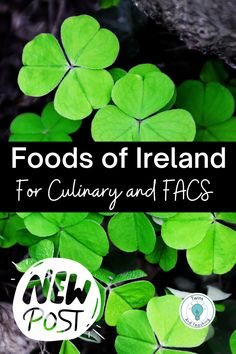 family consumer science Family Consumer Science, Irish Foods, Cooking In The Classroom, Irish Recipes Traditional, Foods Ideas, Irish Cuisine, Family And Consumer Science, Food Lab