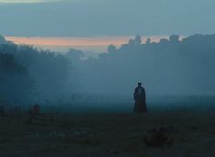 a person standing in the middle of a foggy field with trees and bushes behind them