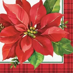 a red poinsettia with green leaves on a checkered tablecloth background