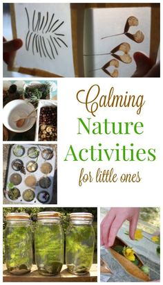 collage of nature activities for little ones with text that reads calming nature activities for little ones