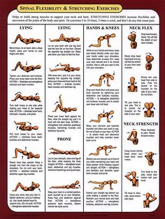 Hip Strengthening Exercises, Bolesti Chrbta, Yoga Iyengar, Neck And Back Pain, Strengthening Exercises, Workout Chart, Stretching Exercises, Vinyasa Yoga