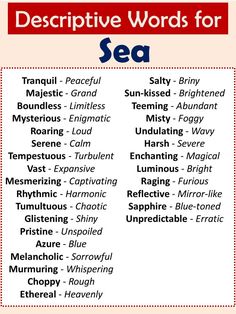 an image of descriptive words for sea