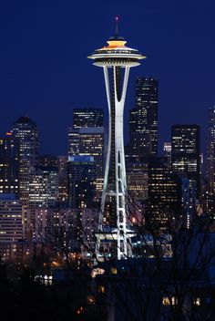 the space needle is lit up at night in front of the cityscape and skyscrapers