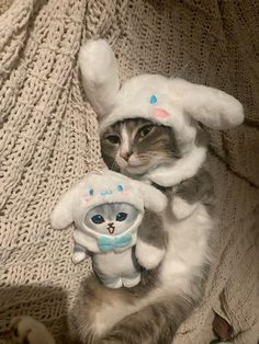 a cat sitting on top of a couch holding a stuffed animal