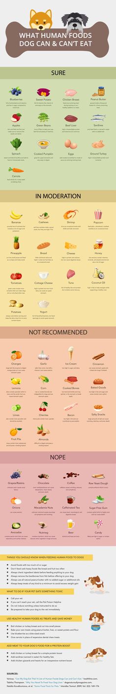 the different types of food that are on display in this info sheet, which shows what they