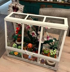 a glass case filled with lots of plants on top of a wooden table next to a cat