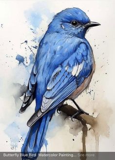 a painting of a blue bird sitting on a branch with watercolor paint splotches