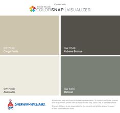 the color scheme for an interior paint scheme