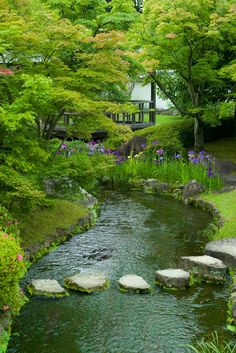 a small stream running through a lush green forest filled with lots of trees and flowers