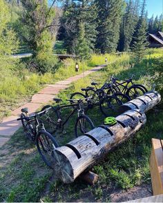 several bicycles are parked next to a log