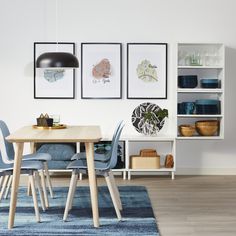 a dining room table with blue chairs and pictures on the wall above it, in front of a bookshelf