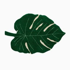 a green leaf with white stripes on it