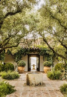 an outdoor fountain surrounded by greenery and potted plants in front of a house