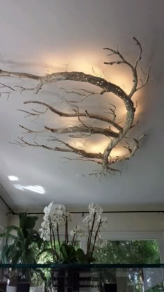 the ceiling is decorated with branches and flowers in vases on top of glass shelves