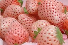 a pile of strawberries sitting on top of a table