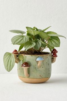 a small potted plant with mushrooms on it