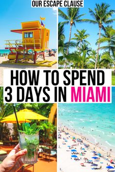 how to spend 3 days in miami with the help of our escape clause on vacation