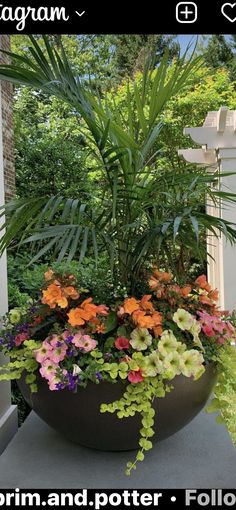 a planter filled with lots of colorful flowers