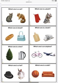 the worksheet shows different types of objects