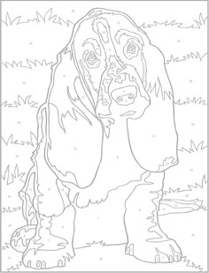 a coloring page with a dog in the grass