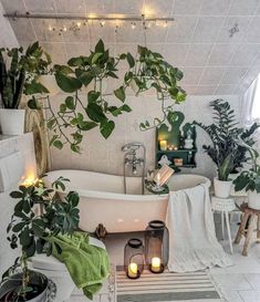 a bathroom with plants and candles in the bathtub, along with other decor items